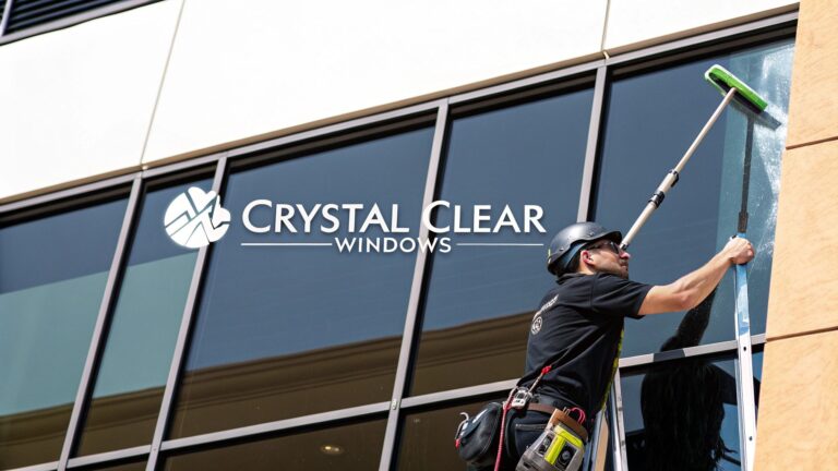 A Guide to Professional Window Cleaning Services