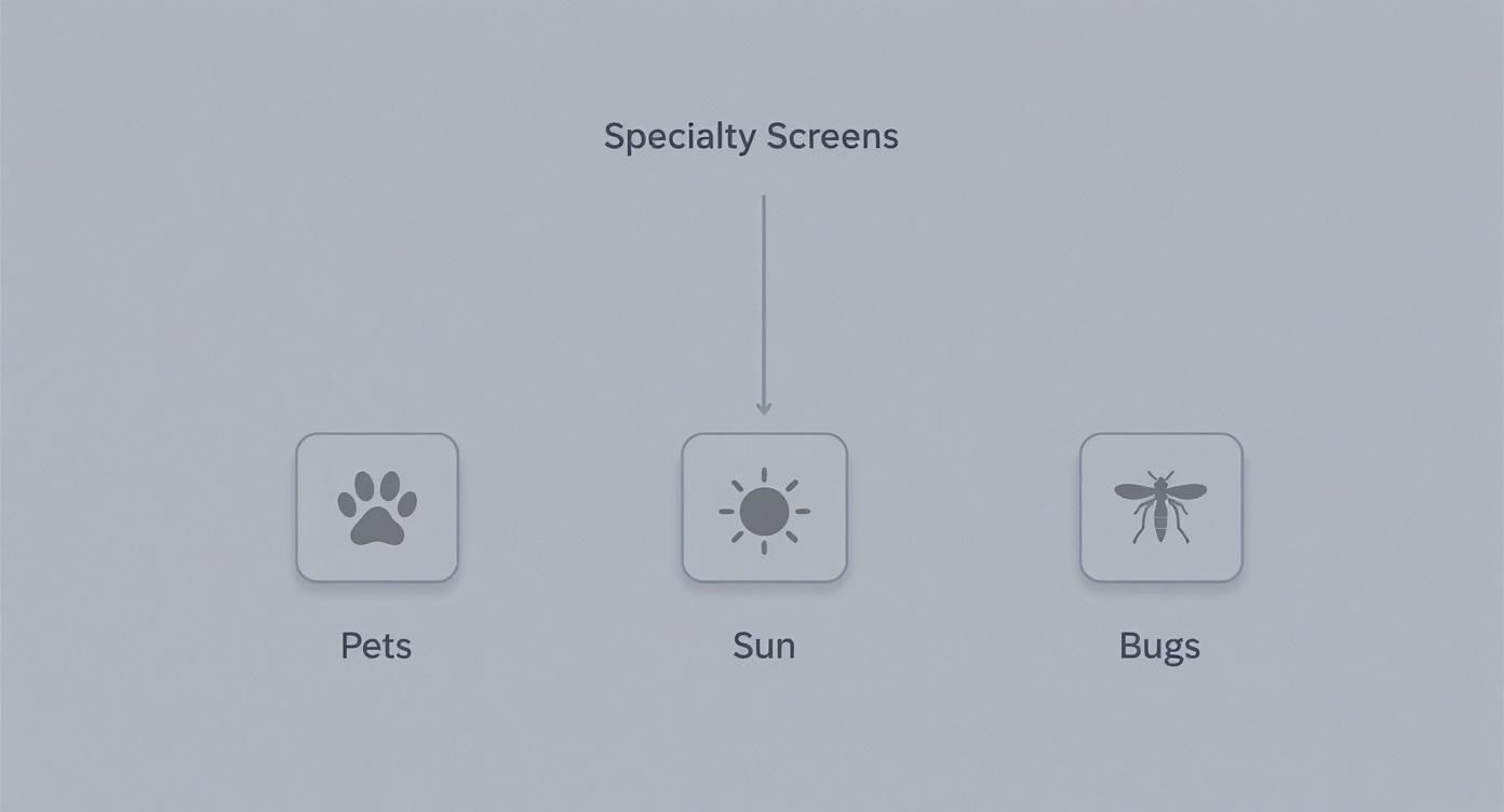 Infographic about best screen for screened porch