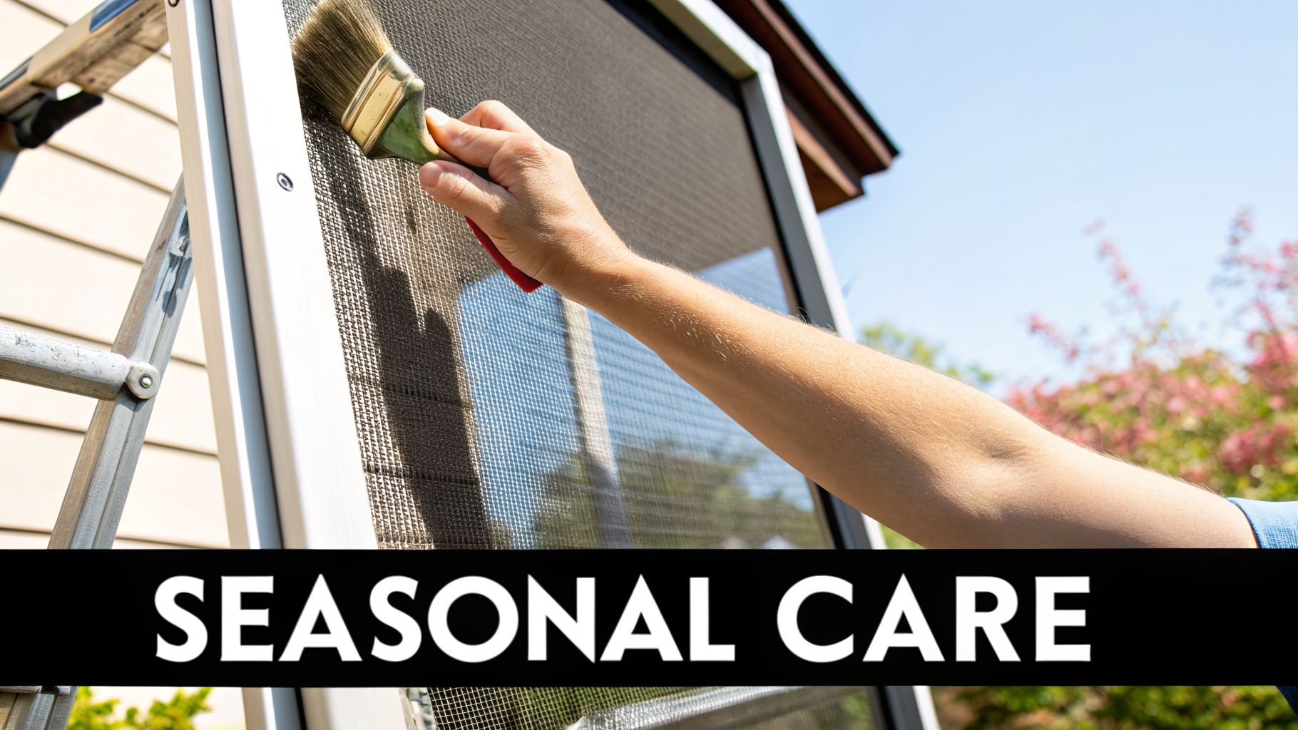 A person's hand uses a brush to clean a dark window screen, suggesting seasonal home care.
