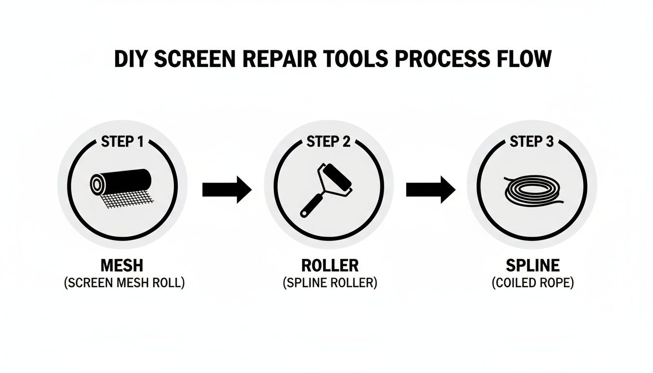 A DIY screen repair tools process flow showing mesh, spline roller, and coiled spline.