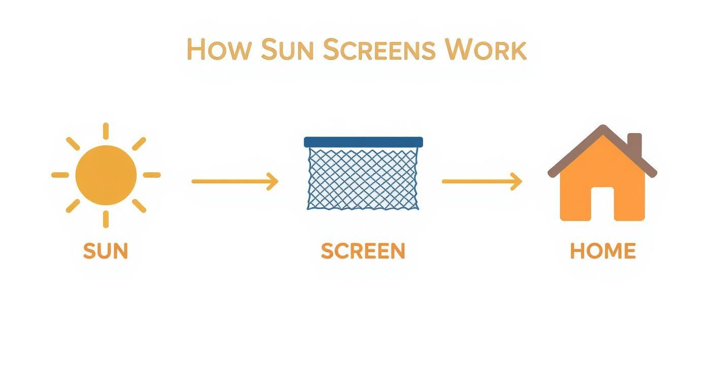 Diagram illustrating how sun screens reduce heat and light from the sun entering a home.