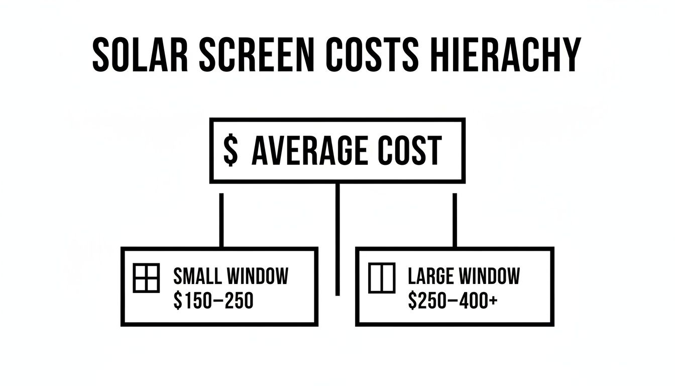Hierarchy chart showing solar screen costs, detailing average prices for small and large windows.