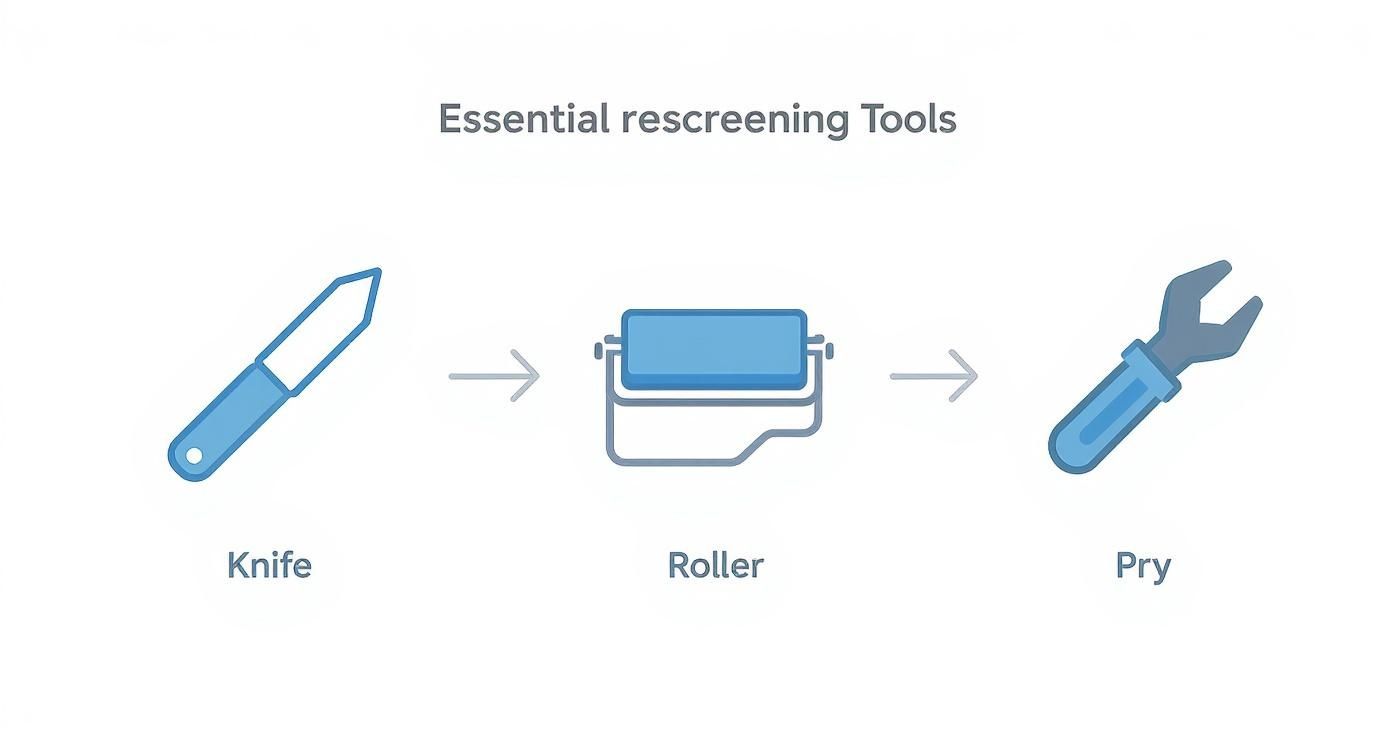 A diagram illustrating essential rescreening tools: a knife, a roller, and a pry tool.