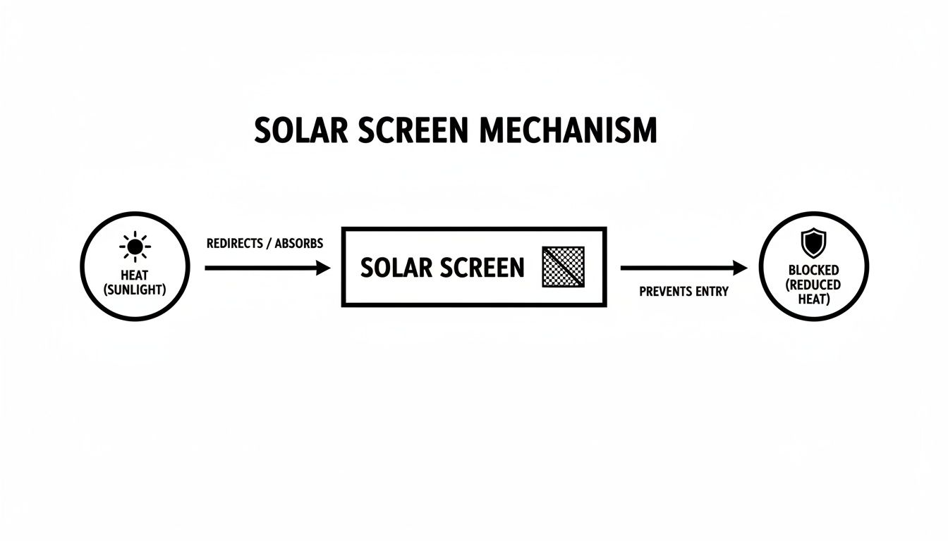 Diagram illustrating the solar screen mechanism, showing how it redirects and absorbs sunlight to reduce heat.