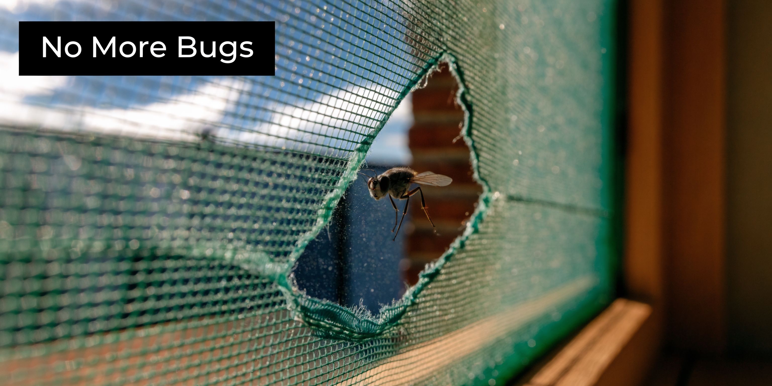 A house fly flying through a large hole in a green window screen mesh panel.
