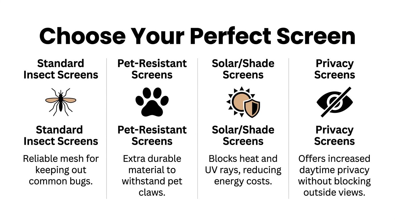 A chart comparing four types of window screens: standard insect, pet-resistant, solar shade, and privacy screens.