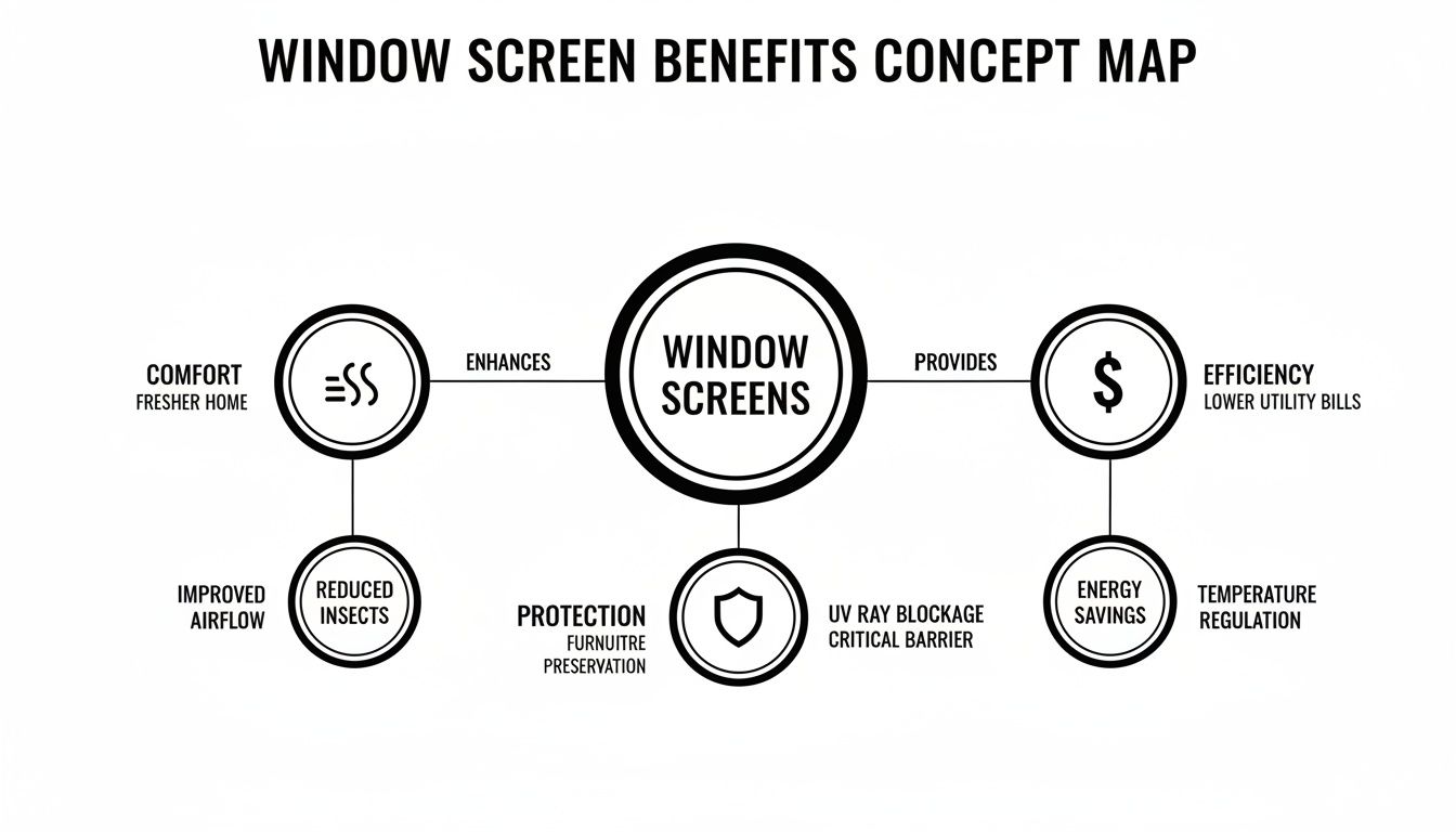 Concept map illustrating window screen benefits for comfort, efficiency, protection, and energy savings.